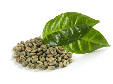 GRIN_Ingredients_cafevert