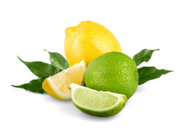 GRIN_Ingredients_citrons
